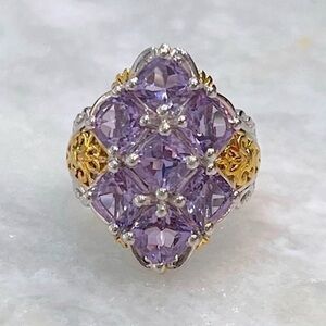 Rose de France Amethyst 14K YG Sterling Silver Cocktail Statement Ring